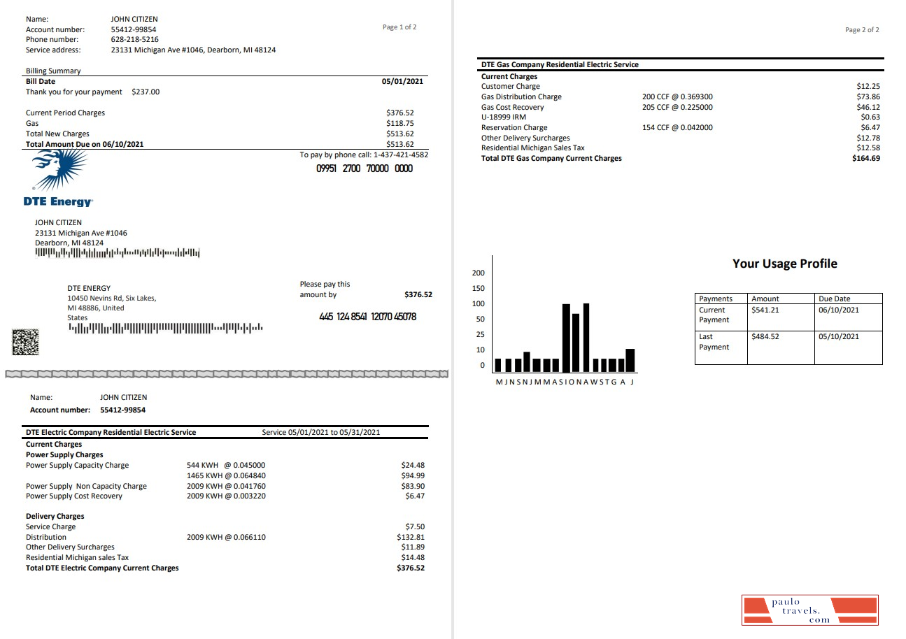 USA DTE Energy utility bill template in Word and PDF format (2 pages)